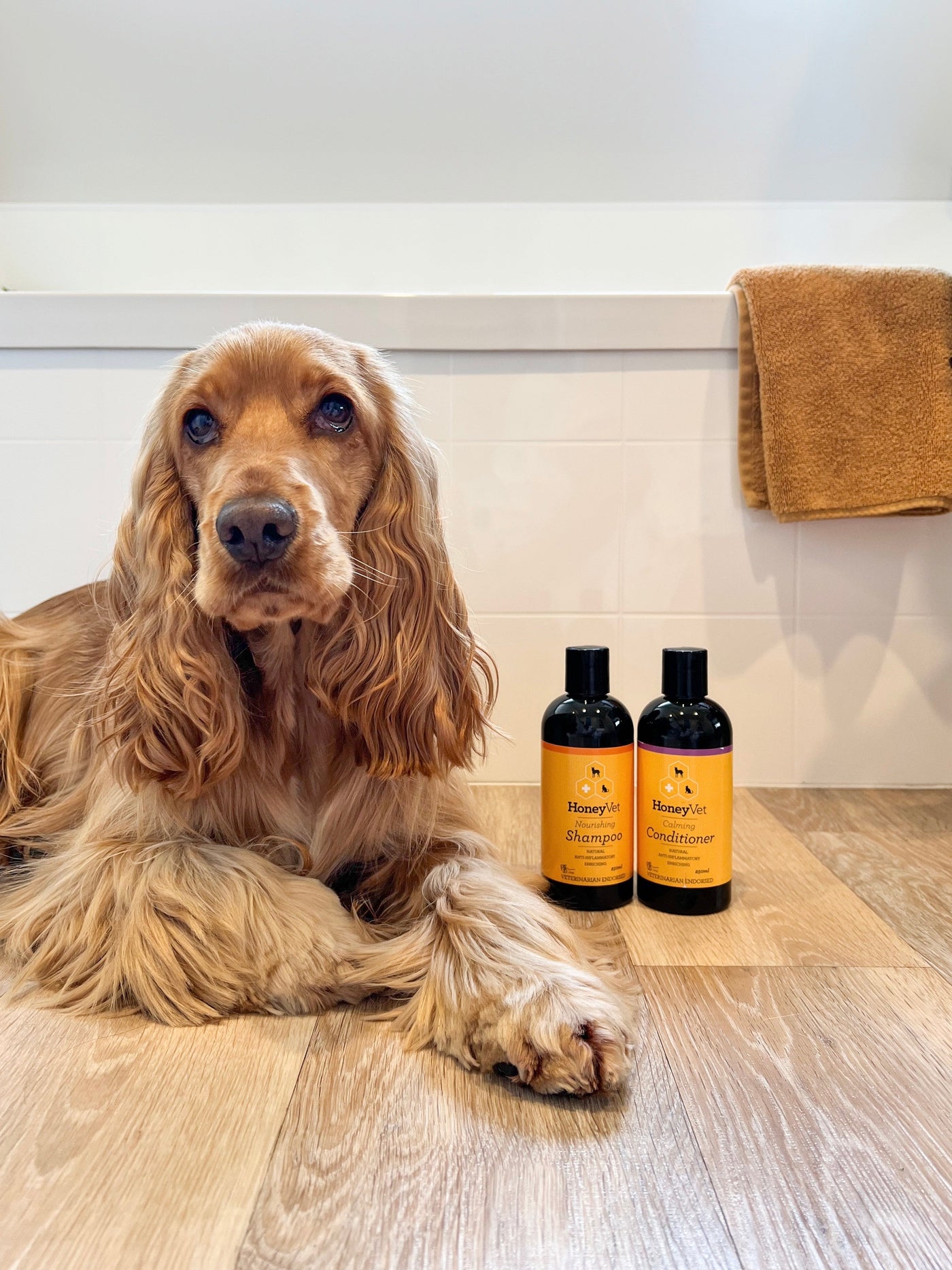 Winter wellness for pets: how to keep skin, coats & joints happy during the cold months